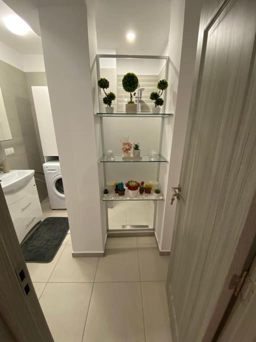 Cozy Central Apartment With 2 Rooms Bucharest Exterior photo